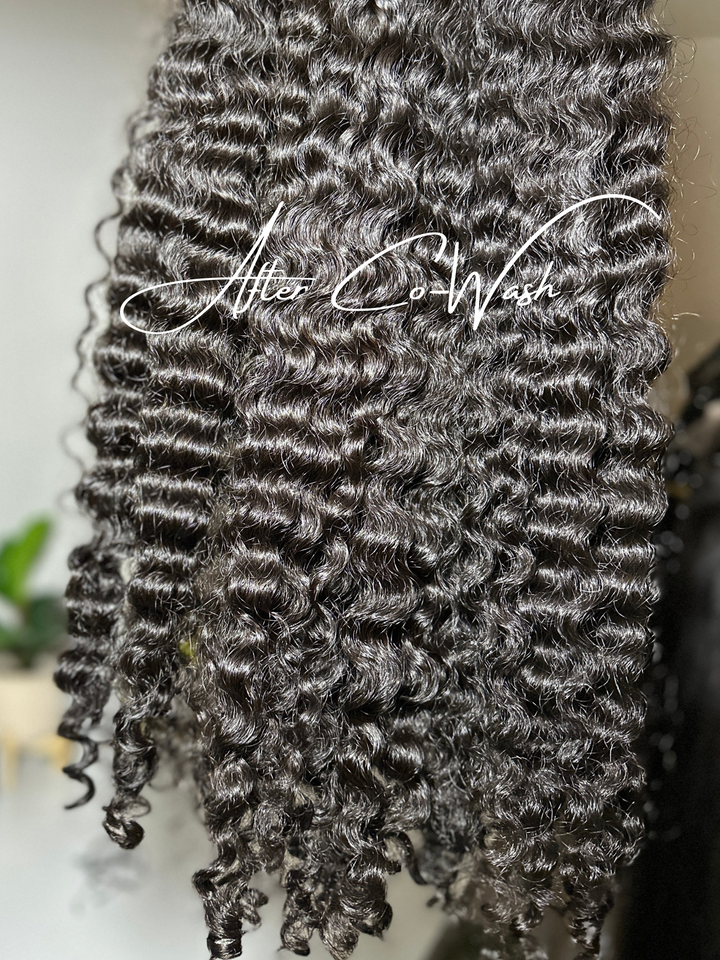 Raw Burmese Curly